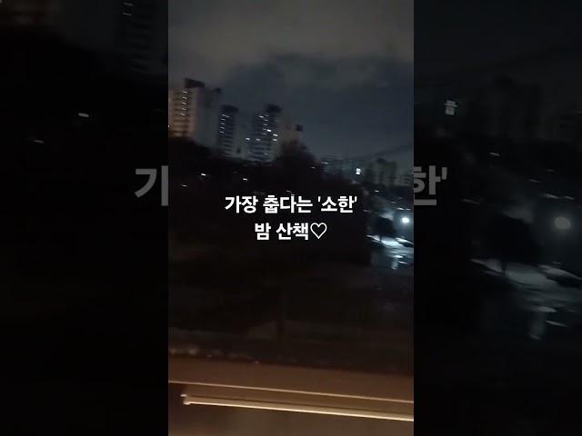 가장 춥다는 소한에 밤산책