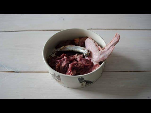 Prey Model Raw Diet For Dogs (PMR) - Healthy Dog