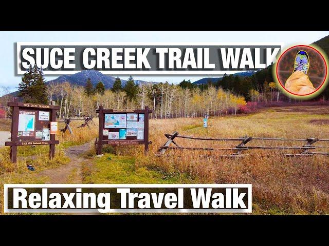 TRAIL WALK - Montana Autumn Foliage Colors - Relaxed Travel Virtual Hiking Trail - City Walks