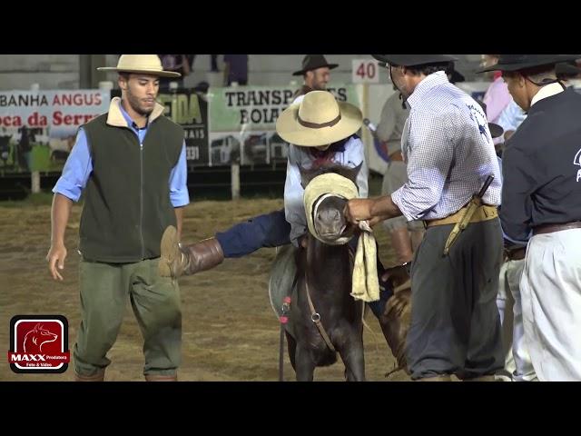 Gineteada em poney dia 07/02 no 33º Rodeio de Vacaria 2020