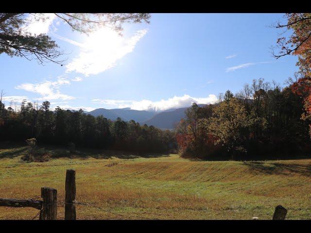 S2 EP3 | ONE MAN'S DREAM AND THE JOURNEY TO BUILDING A CABIN AND HOMESTEAD IN THE SMOKY MOUNTAINS