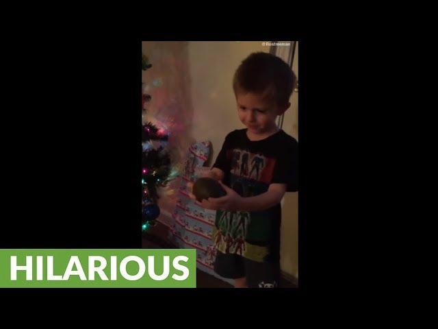 Kid gets avocado for Christmas, thinks it's coal