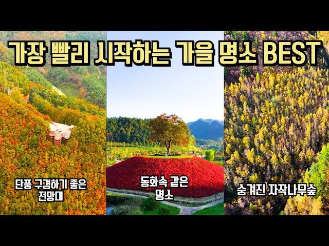 11월 강원특별자치도 여행 추천 가을 여행 BEST #국내여행 #강원도여행