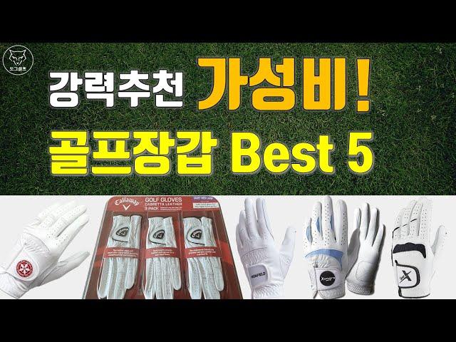 [도그골프] 강력추천 가성비 골프장갑 추천 Best 5! 판매1위 골프장갑은??