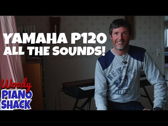 Yamaha P120 Digital Piano - All of the sounds demonstrated!