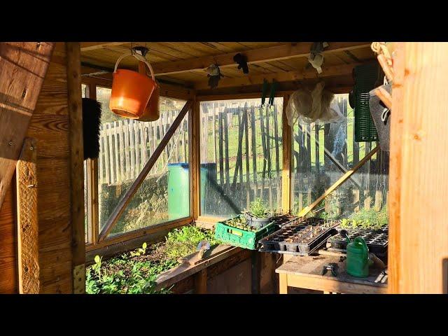 Self-sufficiency in the winter garden | Garden status December in the open field & greenhouse