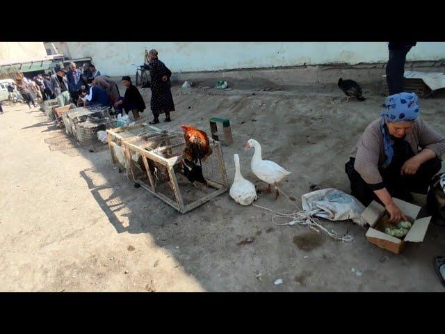 ХАЗАРАСП ПАРРАНДА БОЗОРИ ЖУ́ЖА СЕЗОНИ ДОСТАВКА БОР НАРХИЛАРИ 30 04 24 Й