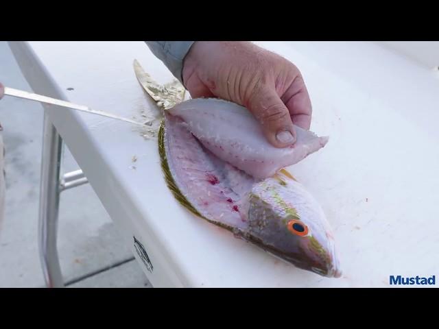 How to Clean Yellowtail Snapper with Capt. Jason Gabriel | Mustad Fishing