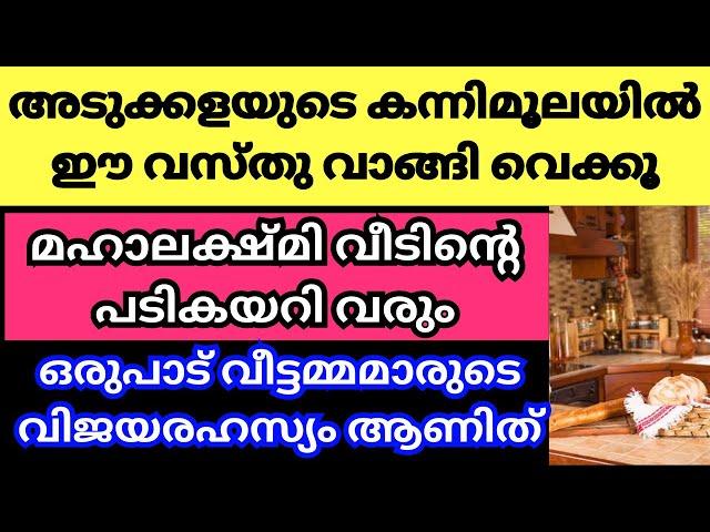 കന്നിമൂലയിൽ വാസ്തു പറയുന്ന അടുക്കളരഹസ്യം ഇതാണ് - ശ്രദ്ധിച്ച് നോക്കൂ