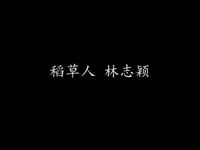 稻草人 林志颖 (歌词版)