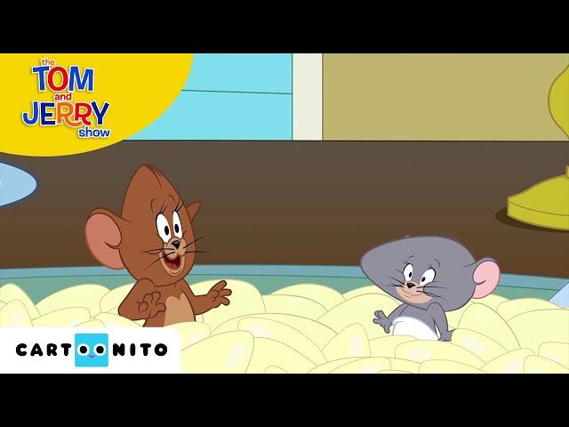 TOM VE JERRY | Balon Delisi | Cartoon Network Türkiye