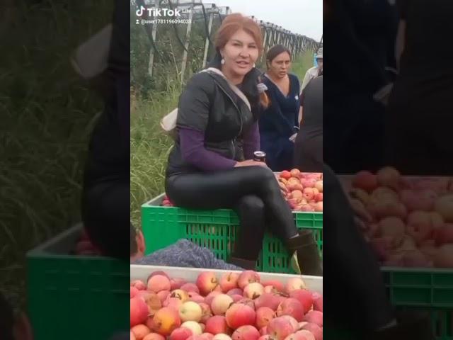 #анастасия #анастасияемельянова