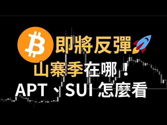 比特幣再次暴漲！山寨季還在嗎？APT、SUI 還能進場？ETH、AAVE、FIL｜【日日幣選】20241224 (二)