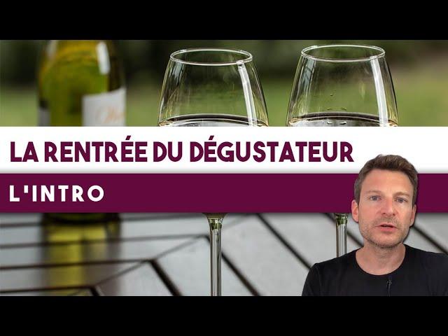 La rentrée du dégustateur : Petite SÉRIE pour revoir les BASES de la dégustation