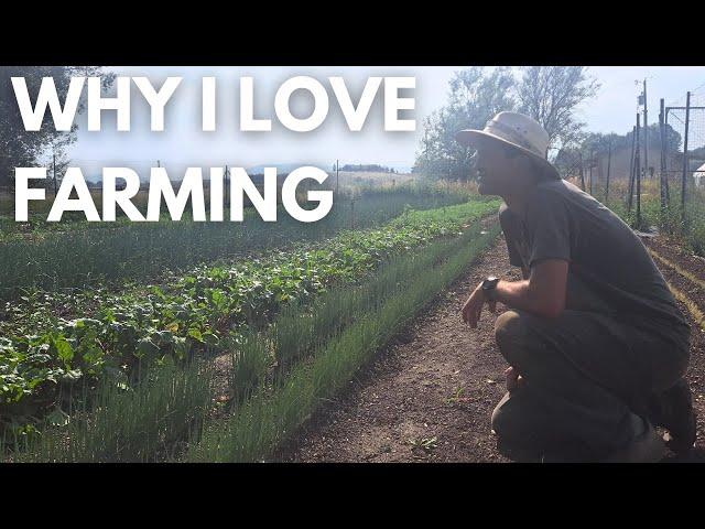 Why I Love Farming | 5 Reasons to start a farm from a farmer