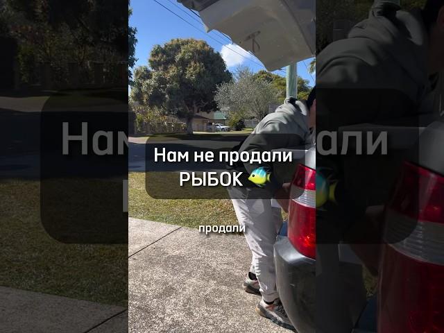 Сколько стоит купить аквариум в Австралии? #австралия #аквариум #рыбкидляаквариума