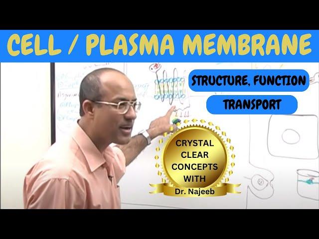 Cell or Plasma Membrane | Structure , Function & Transport