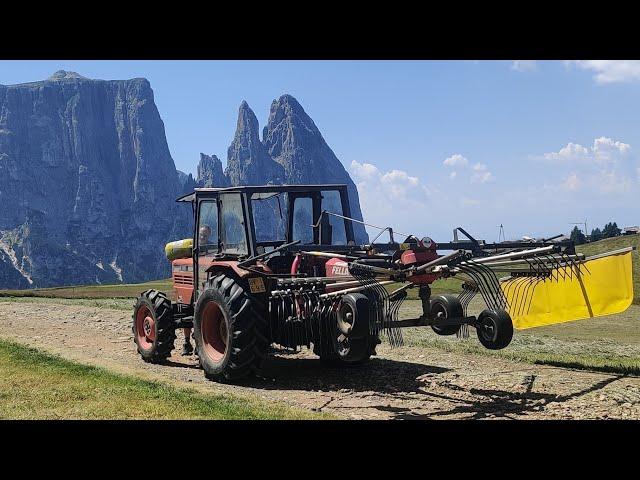 | Landwirtschaft trifft auf Landschaft | Heuernte auf über 2000 m.ü.A