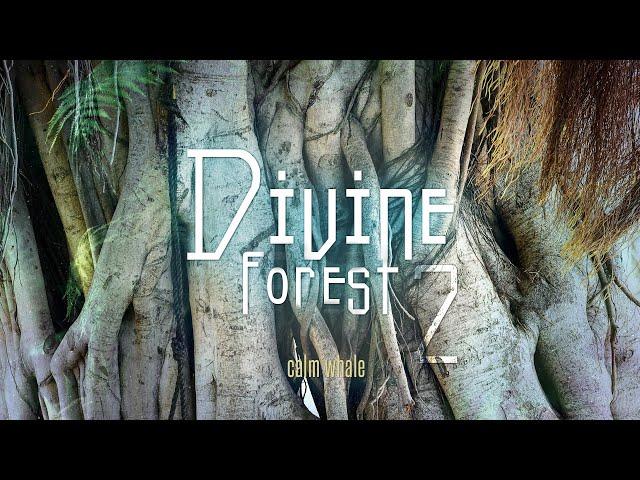 Roots, Connection, Womb of Mother Earth - Shaman BASS Drum & UDU Drum - Divine Forest