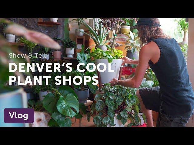 48 Hours in DENVER, Went to See COOL PLANT SHOPS — Vlog 054