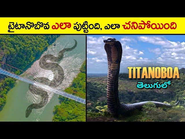  టైటానోబోవ పాముని ఎవరు చంపారు | titanoboa snake in telugu | titanoboa snake video | telugu facts