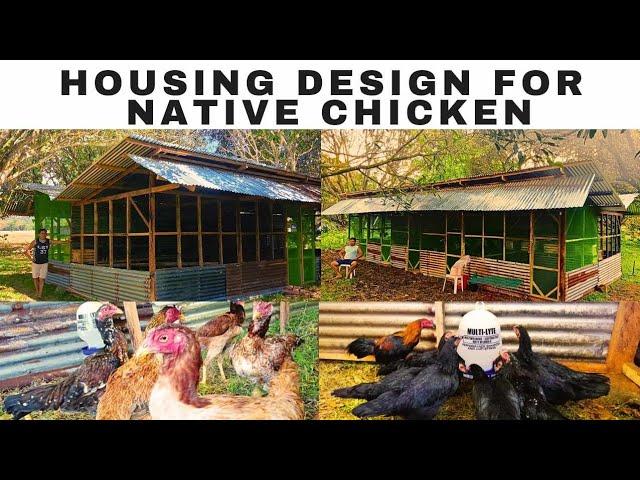 Housing design for native chicken