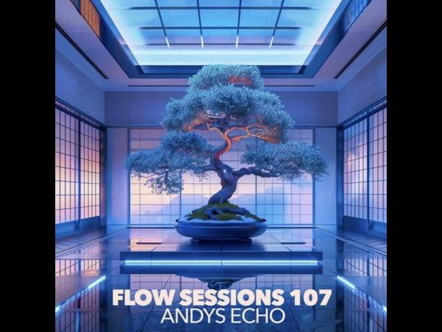 Flow Sessions 107 - Andy's Echo live