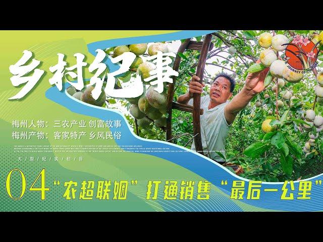 【乡村纪事】04 线上遇见“李”!乡村振兴馆助力梅州农产品“出山入湾”  |乡村纪实类|乡村振兴|