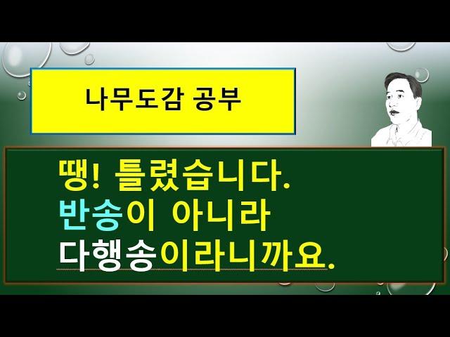 다행송이라는 소나무는 어떤 나무일까?