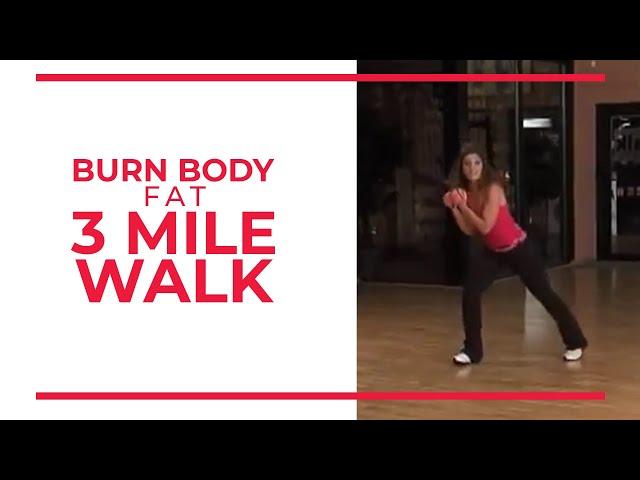 Burn Body Fat 3 Mile | Leslie Sansone's Walk at Home