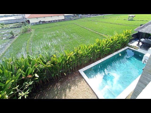 Dijual Villa di Kerobokan Bali | Ricefield View |Sertifikat Hak Milik | Harga Rp 3,5 Milyard | 3 Bed