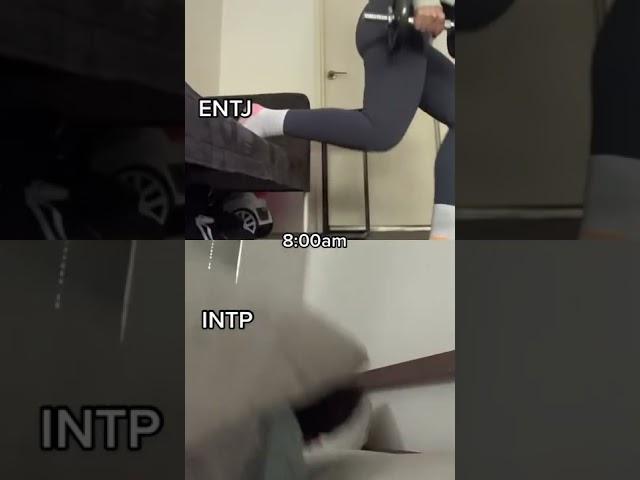 INTP vs ENTJ