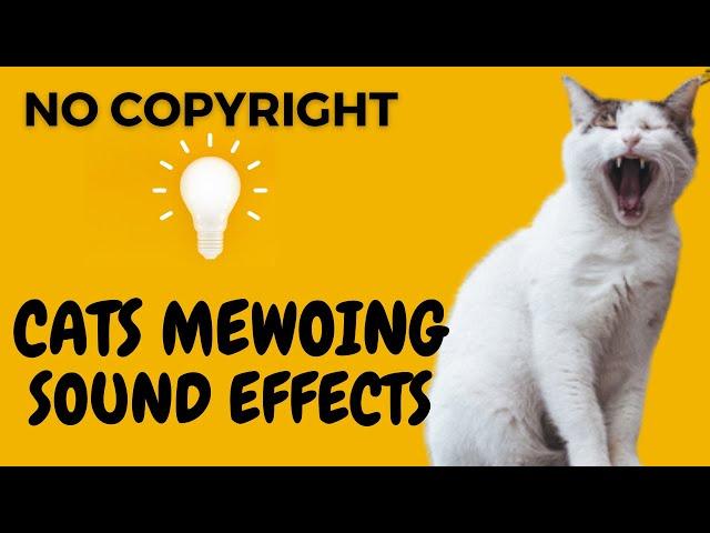 Cat Meow Sound Effects | No Copyright Sounds