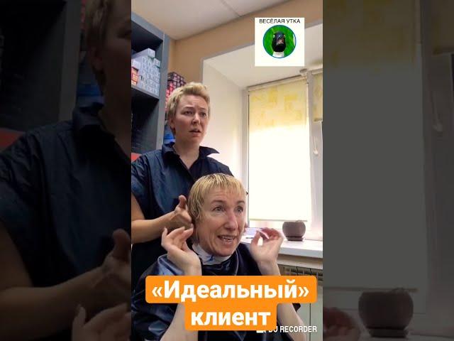 «Идеальный» клиент в парихмахерской | Весёлая Утка