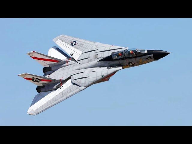 F14 XXL Mega Wing: Jaw-dropping Swept Wing Flight!