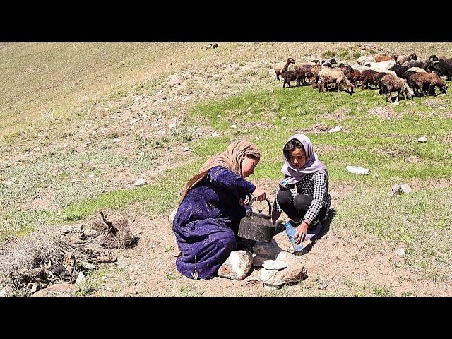 Daily Routine Village Life in Afghanistan | Nomadic Girls in Mountains