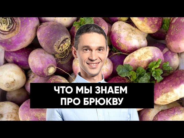 ЧТО МЫ ЗНАЕМ ПРО БРЮКВУ