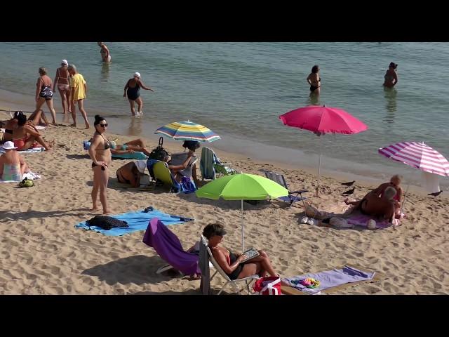 Côte d'Azur la Croisette boulevard emblématique de Cannes