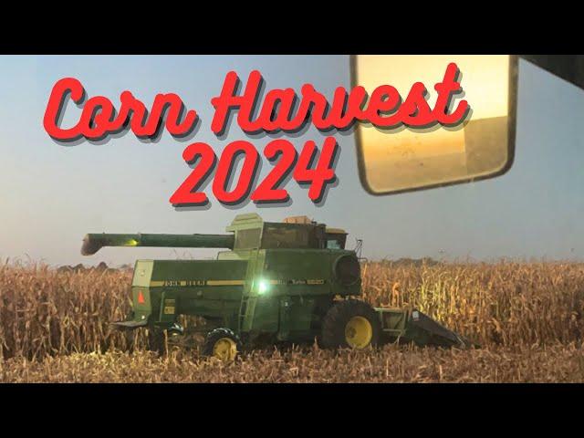 Corn Harvest 2024!! Night Harvest!! John Deere 6620 Turbo