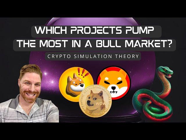 Which projects pump the most during a bull market?