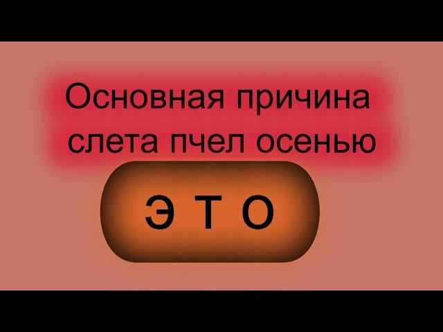 Основная причина осеннего слета пчел