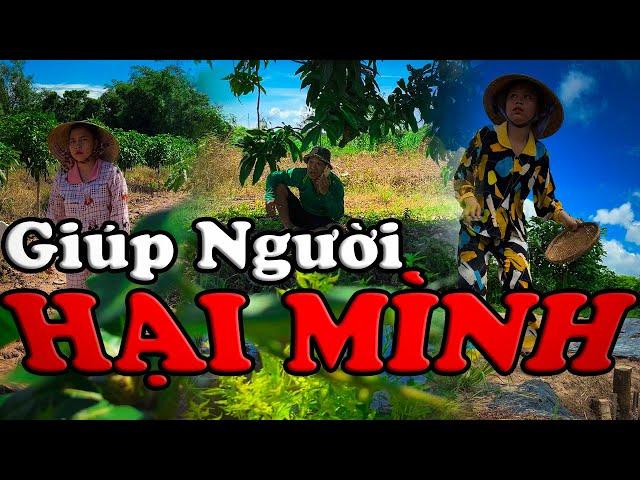 Giúp Người Hại Mình #videogiaitri #vochongson #nguyenhuyvlog