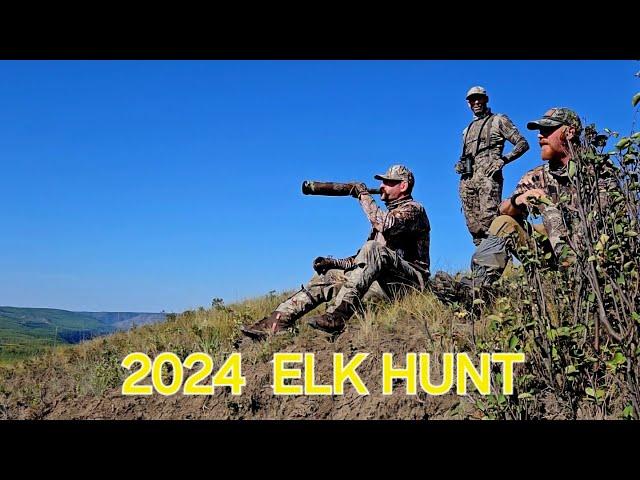 Elk Success, Alberta Big Game Hunt