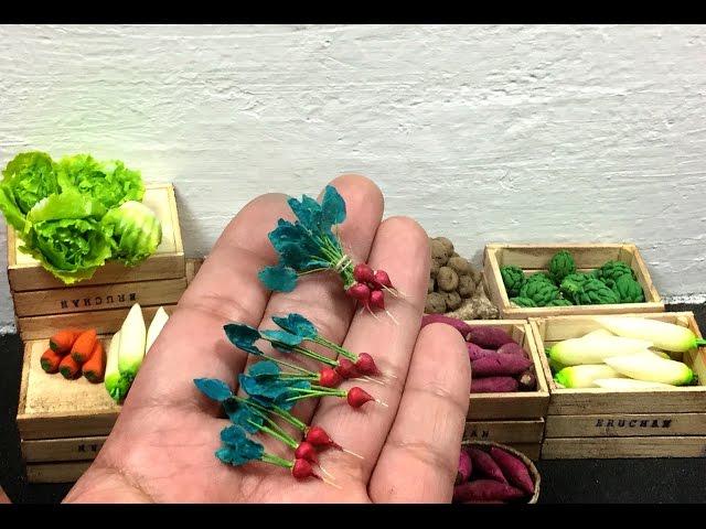 Rabanos miniatura .Rabanitos .Miniature radish.Tutorial miniatura