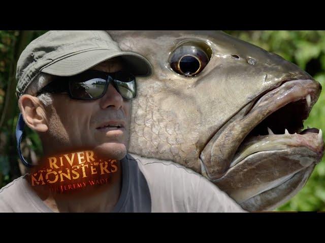 The Great Niugini Black Bass | River Monsters