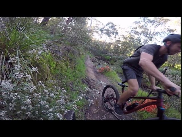 Mountain Bike ride in Mullum Mullum Park on the Eastlink Trail