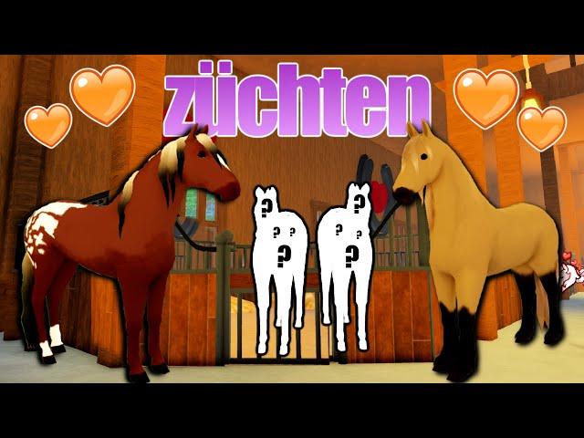 wir züchten  LEGACY FOHLEN  in Wild Horse Islands  Roblox