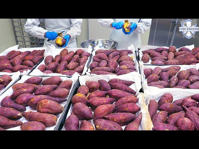 Sweet potato? Bread? Mass production of sweet chewy sweet potato bread / Korean bread factory