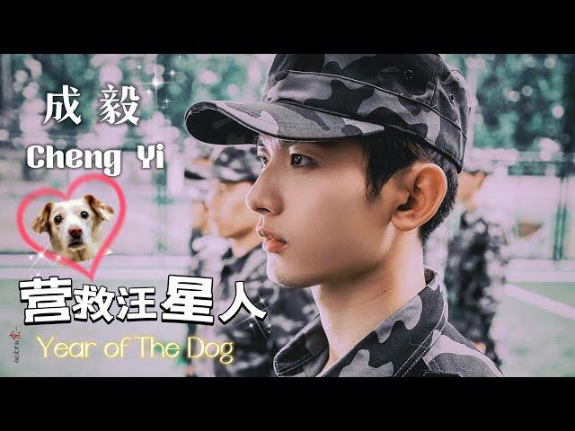 【成毅Cheng  Yi】【营救汪星人Year of the Dog】训练特辑Training special collection，淇淇为这部电影真的付出了超多心血，非常期待早点见到这部电影