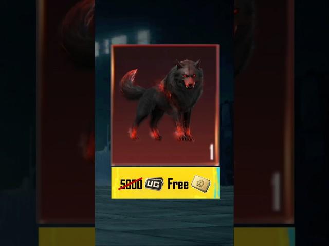 FREE Inferno  Wolf Buddy